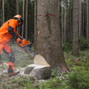 Berufsbekleidung Straubing