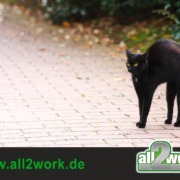 Freitag der Dreizehnte