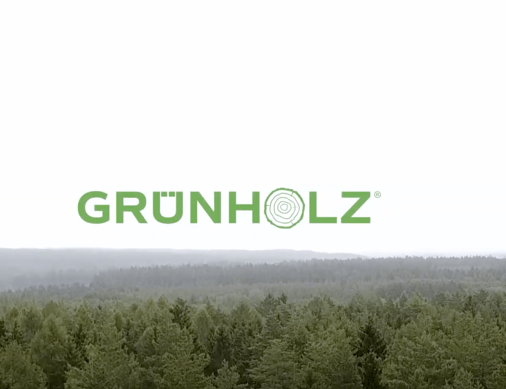 Grünholz Grünholz