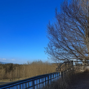 Container für Kindergärten und Schulen