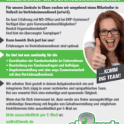 vertriebsinnendienst