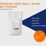 Penergetic-b-WV-klein